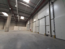Bd. Th. Pallady - 3400mp, 1700mp si 800mp - ISU - comision 0